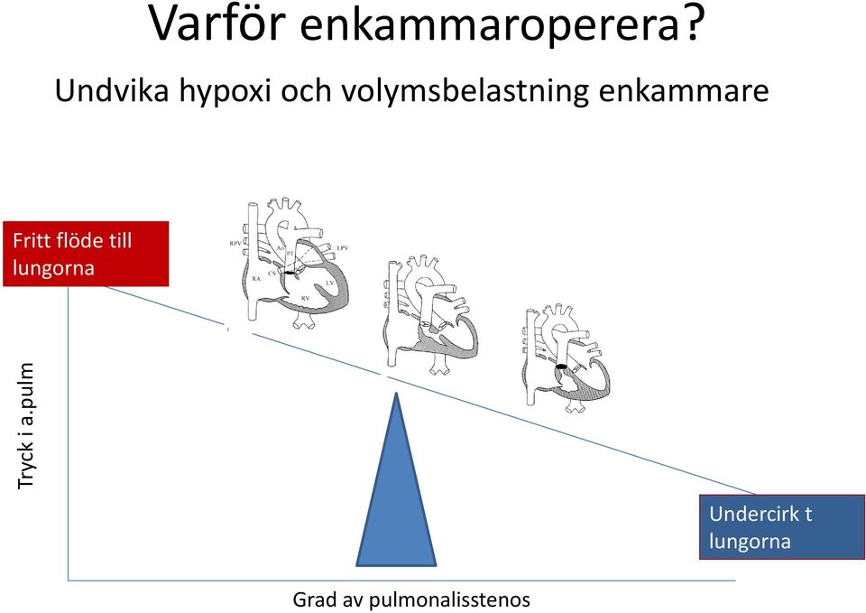 enkammare Fritt flöde till lungorna