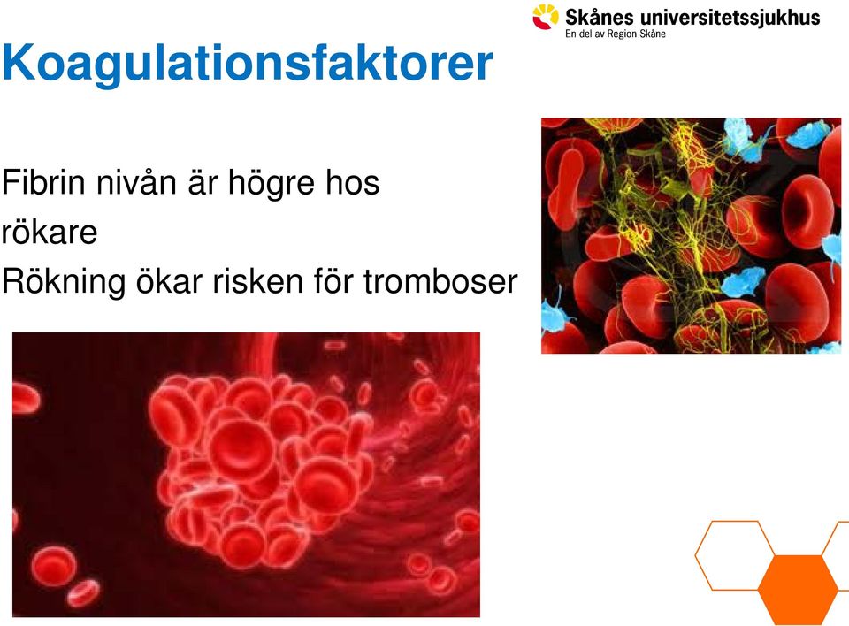 rökare Rökning ökar