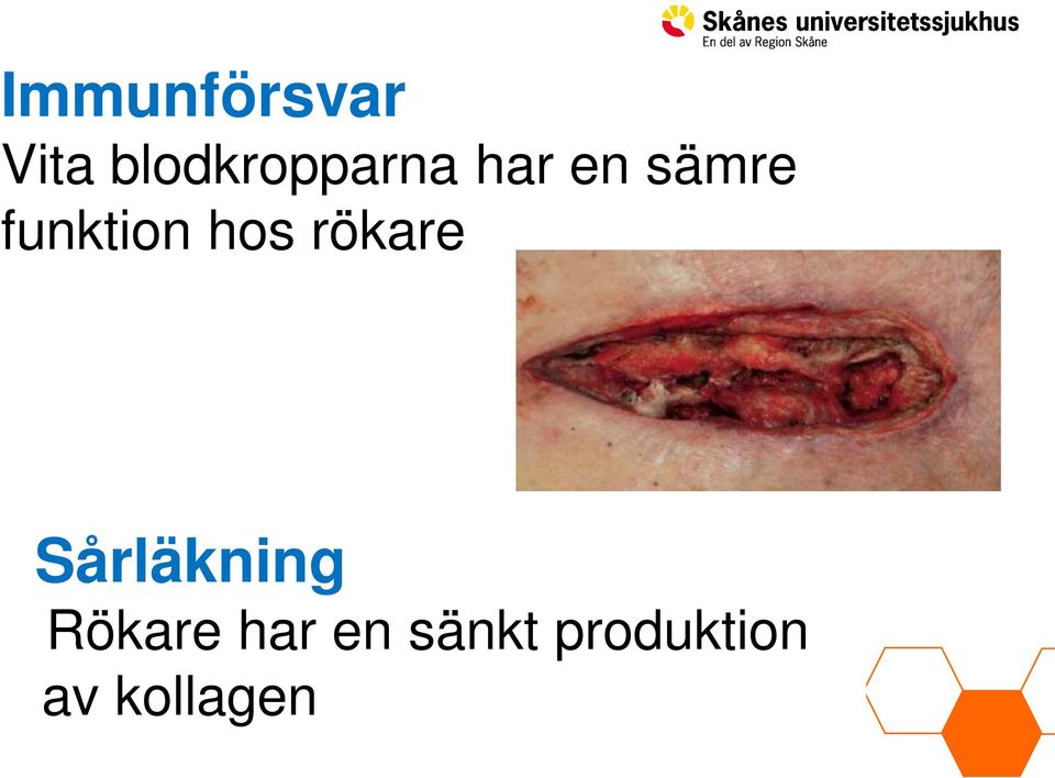 funktion hos rökare