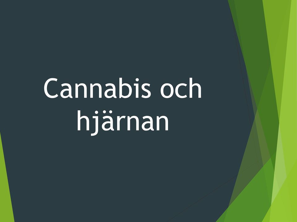 hjärnan