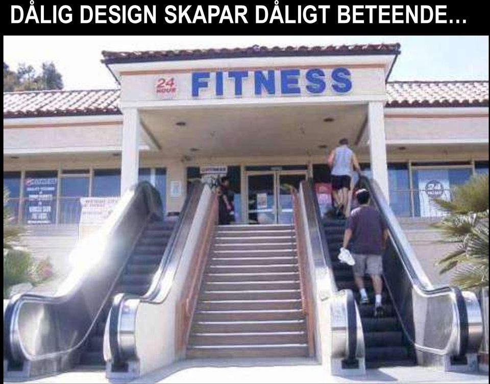 SKAPAR T