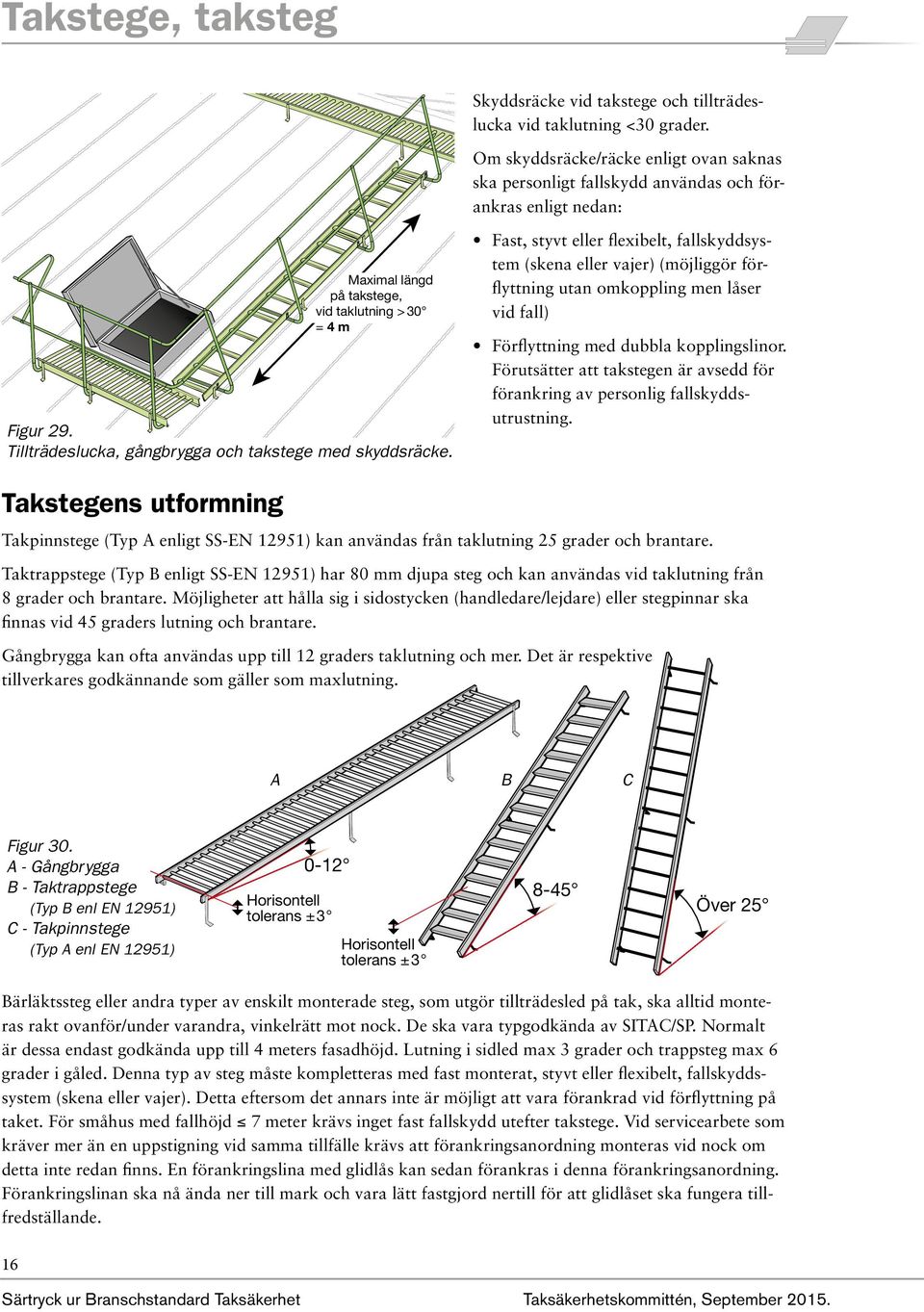 Tillträdeslucka, gångbrygga och takstege med skyddsräcke.