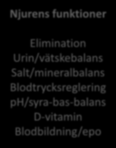 Njurens funktioner Elimination Urin/vätskebalans