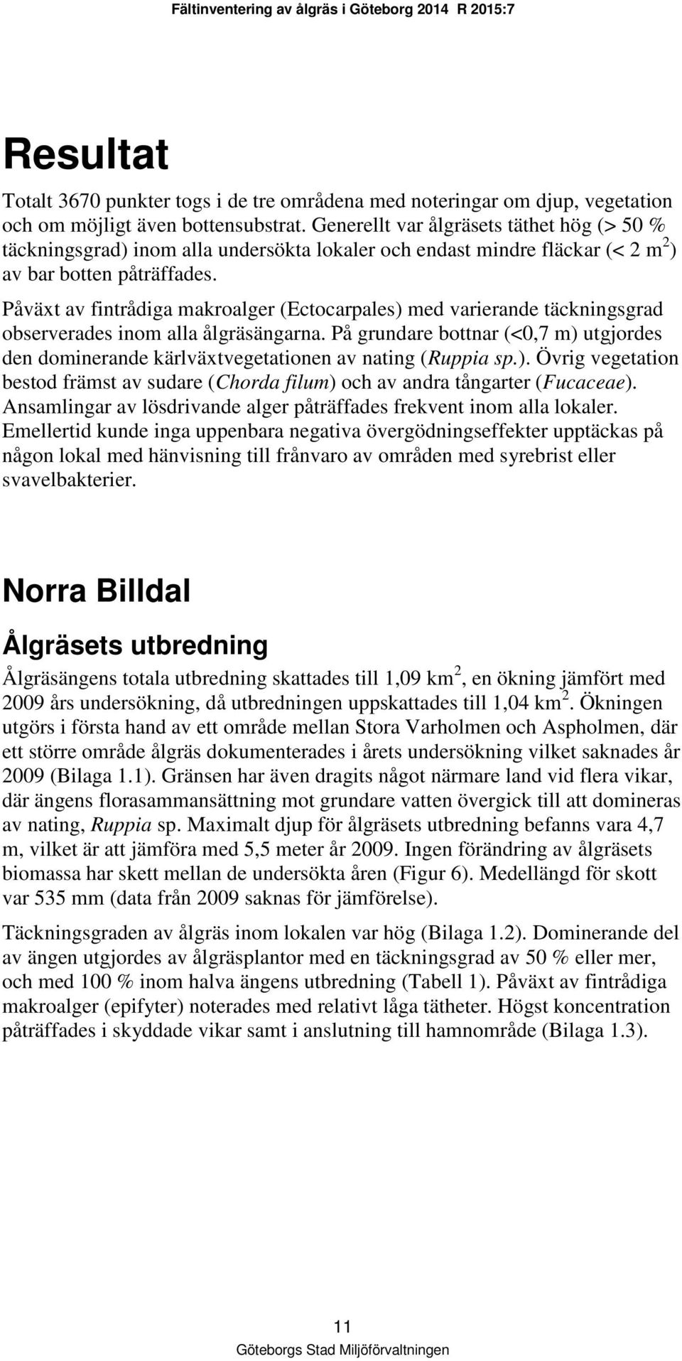 Påväxt av fintrådiga makroalger (Ectocarpales) med varierande täckningsgrad observerades inom alla ålgräsängarna.