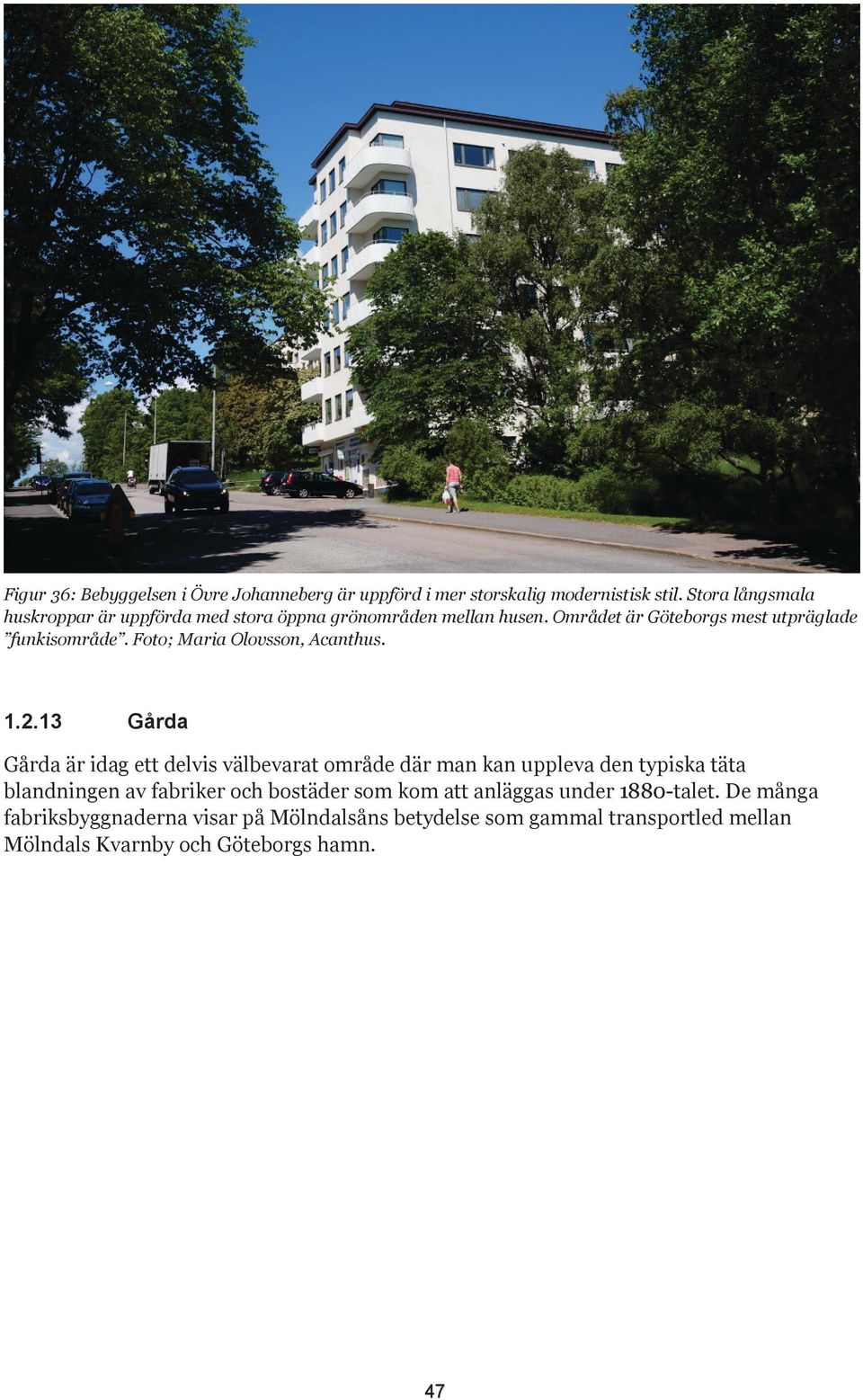 Foto; Maria Olovsson, Acanthus. 1.2.