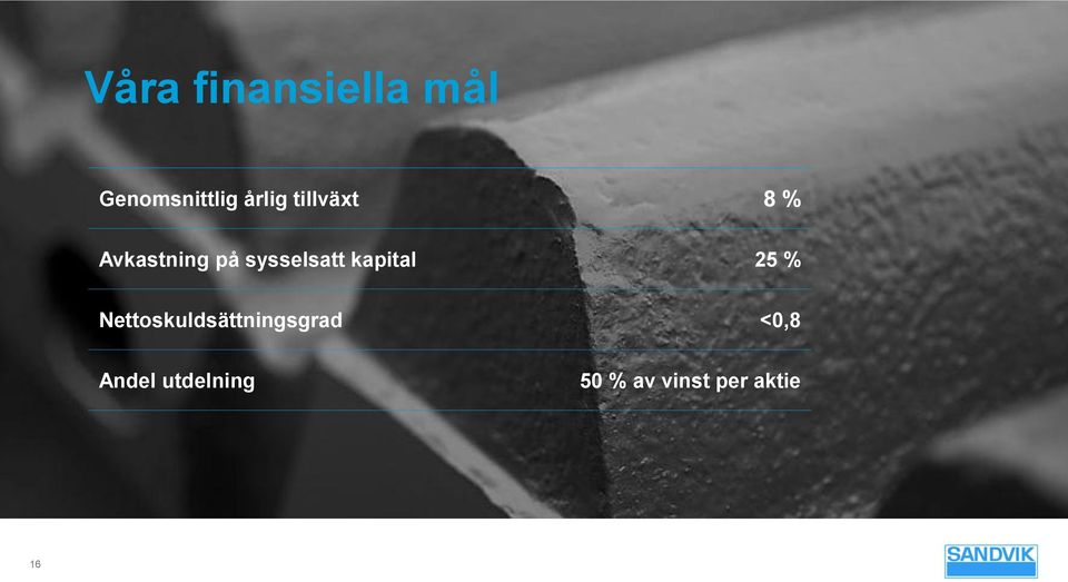 kapital 25 % Nettoskuldsättningsgrad