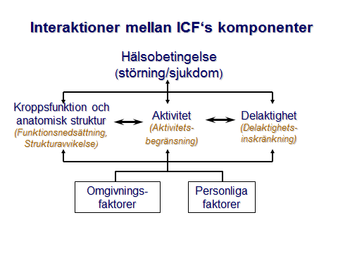 ALLA DELAR I ICF-MODELLEN INVOLVERAS International