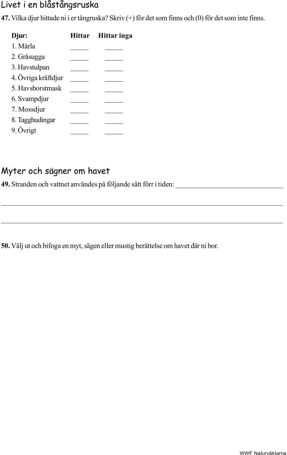 Havstulpan 4. Övriga kräftdjur 5. Havsborstmask 6. Svampdjur 7. Mossdjur 8. Tagghudingar 9.