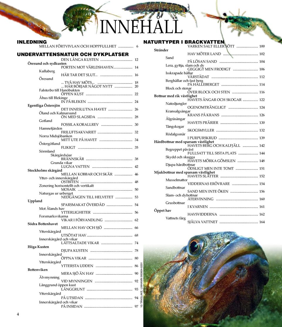 .. 26 Öland och Kalmarsund ÖN MED SLAGSIDA... 28 Gotland FOSSILA KORALLREV... 30 Hamnefjärden FRILUFTSAKVARIET... 32 Norra Midsjöbanken MITT UTE PÅ HAVET... 34 Östergötland FLIKIGT.
