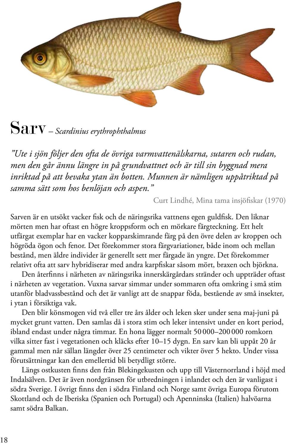 Curt Lindhé, Mina tama insjöfiskar (1970) Sarven är en utsökt vacker fisk och de näringsrika vattnens egen guldfisk. Den liknar mörten men har oftast en högre kroppsform och en mörkare färgteckning.