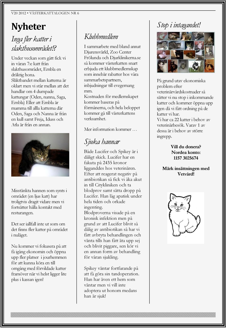 från en kull samt Freja, Iduss och Atla är från en annan. Misstänkta hannen som synts i området (en ljus katt) har troligtvis dragit vidare men vi fortsätter hålla kontakt med resturangen.
