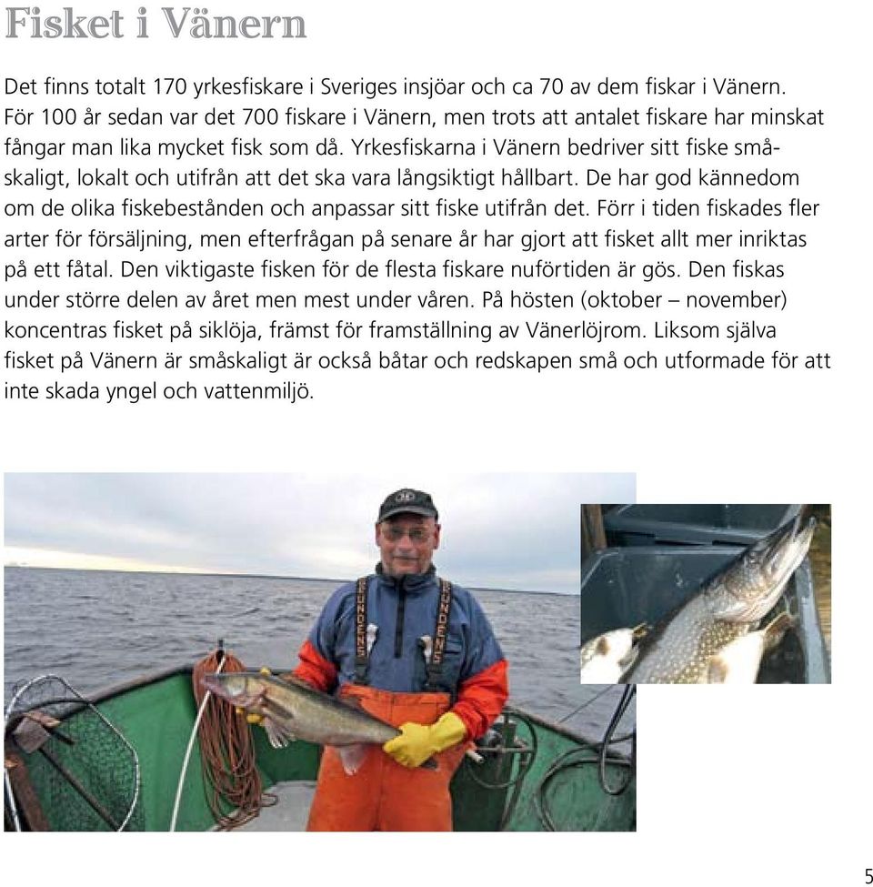 Yrkesfiskarna i Vänern bedriver sitt fiske småskaligt, lokalt och utifrån att det ska vara långsiktigt hållbart. De har god kännedom om de olika fiskebestånden och anpassar sitt fiske utifrån det.