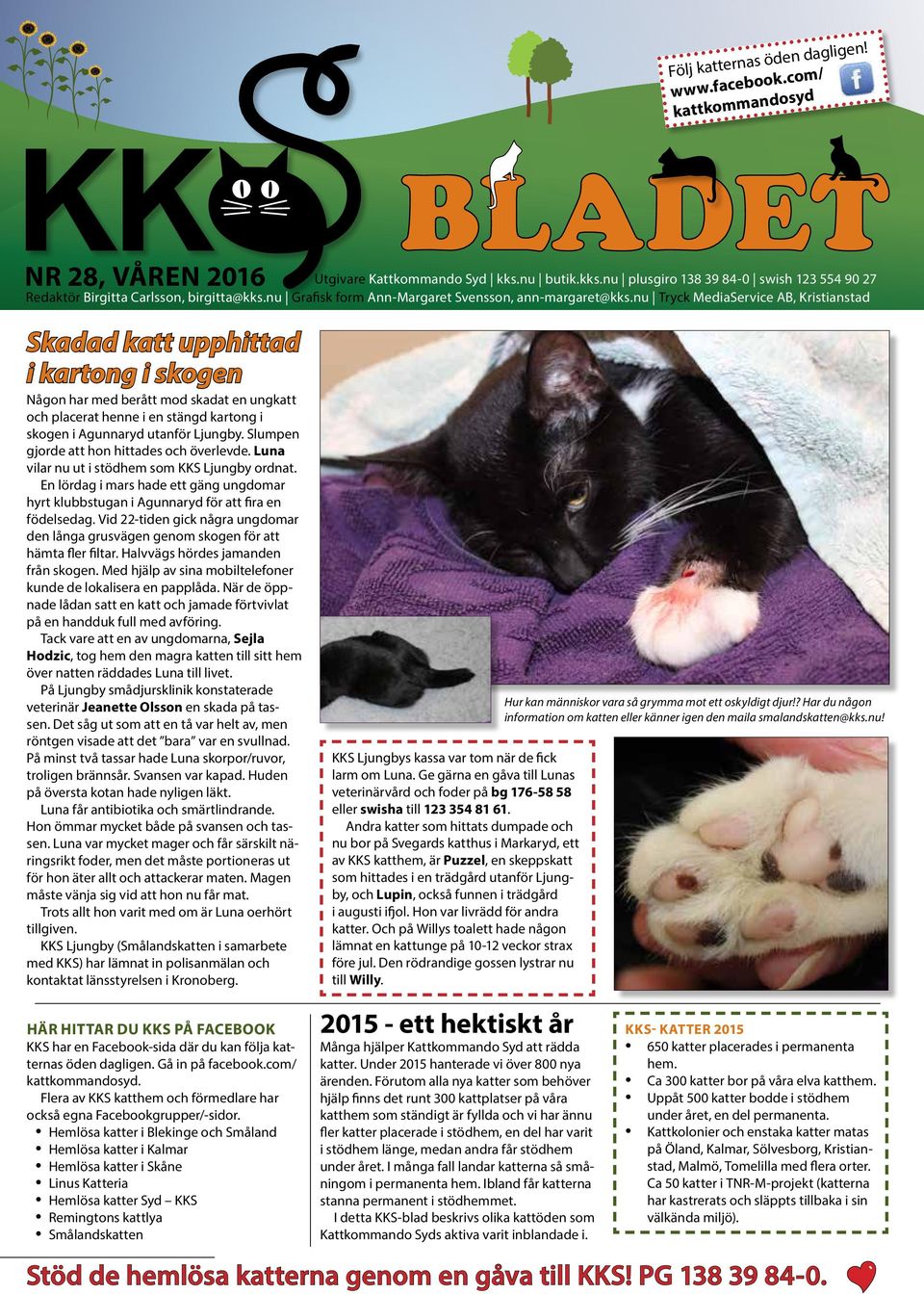 nu Tryck MediaService AB, Kristianstad Skadad katt upphittad i kartong i skogen Någon har med berått mod skadat en ungkatt och placerat henne i en stängd kartong i skogen i Agunnaryd utanför Ljungby.