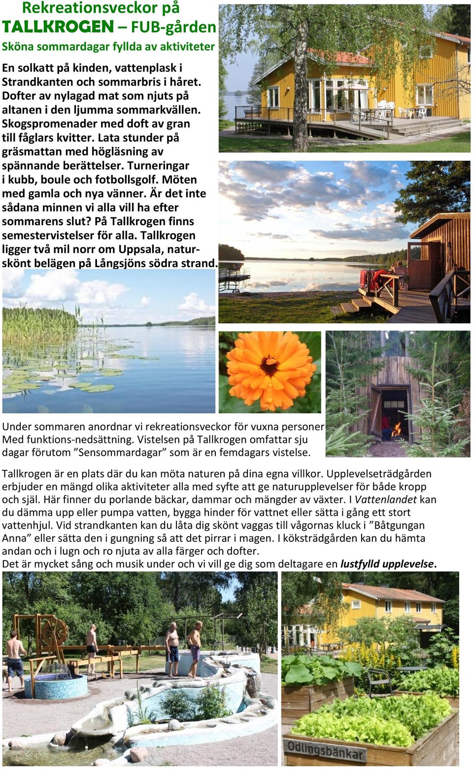 Turneringar i kubb, boule och fotbollsgolf. Möten med gamla och nya vänner. Är det inte sådana minnen vi alla vill ha efter sommarens slut? På Tallkrogen finns semestervistelser för alla.