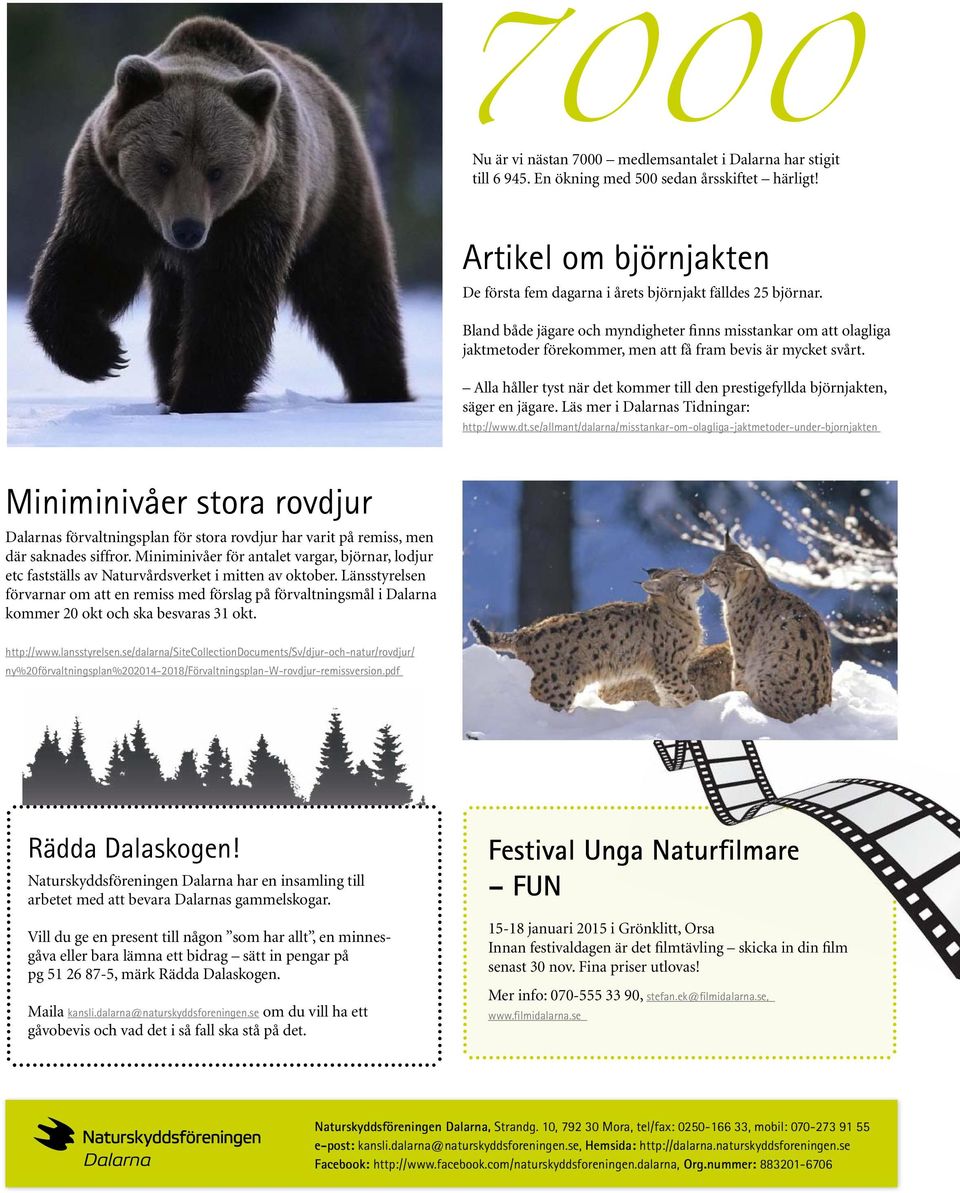 Alla håller tyst när det kommer till den prestigefyllda björnjakten, säger en jägare. Läs mer i Dalarnas Tidningar: http://www.dt.