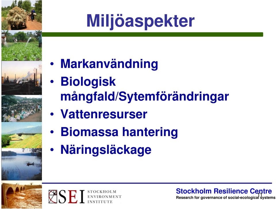 mångfald/sytemförändringar