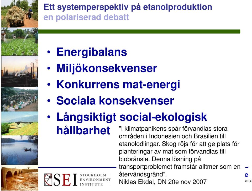 Indonesien och Brasilien till etanolodlingar.