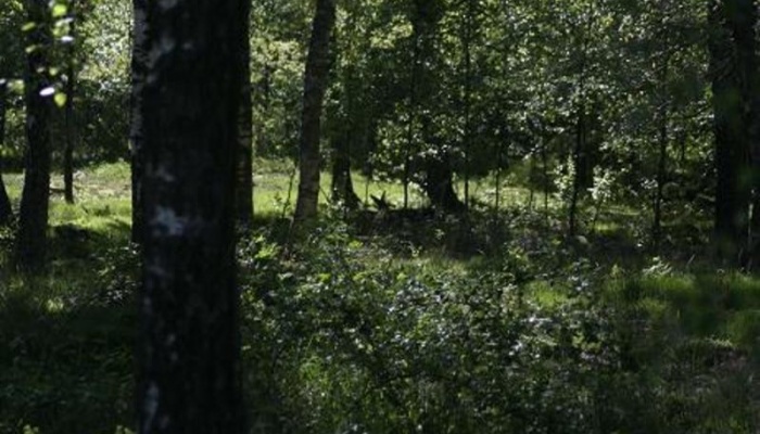 Län Skåne Gatuadress Toarps backaväg 140 Kommun Ängelholm Storlek 100000 m² Område Ängelholm,