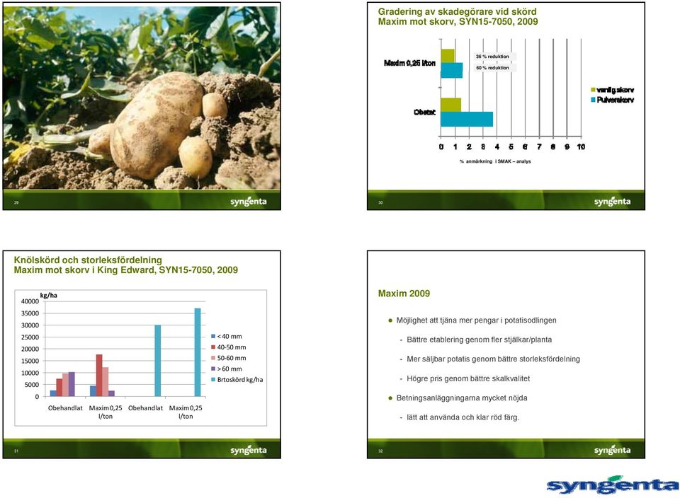 pengar i potatisodlingen - Bättre etablering genom fler stjälkar/planta - Mer säljbar potatis genom bättre storleksfördelning - Högre pris