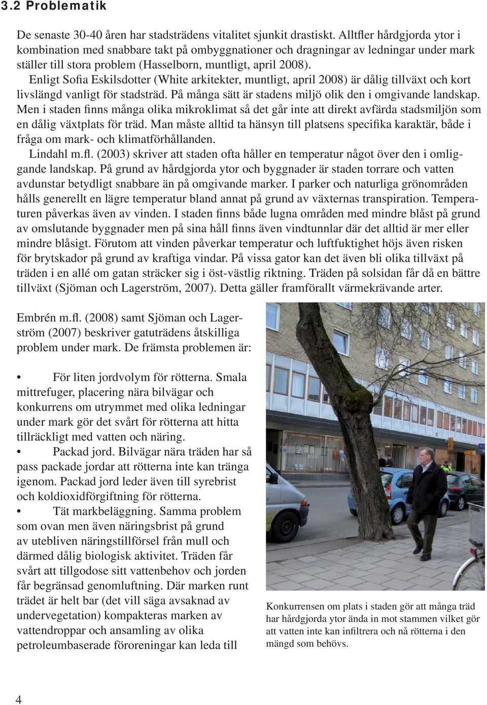 Enligt Sofia Eskilsdotter (White arkitekter, muntligt, april 2008) är dålig tillväxt och kort livslängd vanligt för stadsträd. På många sätt är stadens miljö olik den i omgivande landskap.