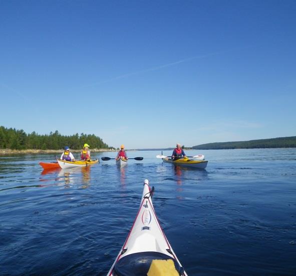 SKOG OCH UNGDOM