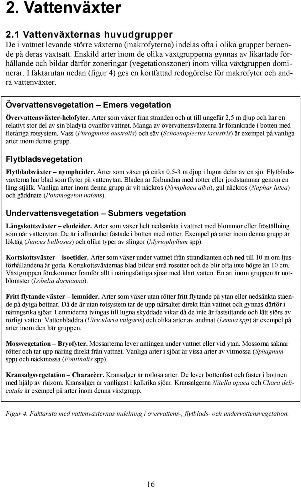 I faktarutan nedan (figur 4) ges en kortfattad redogörelse för makrofyter och andra vattenväxter. Övervattensvegetation Emers vegetation Övervattensväxter-helofyter.