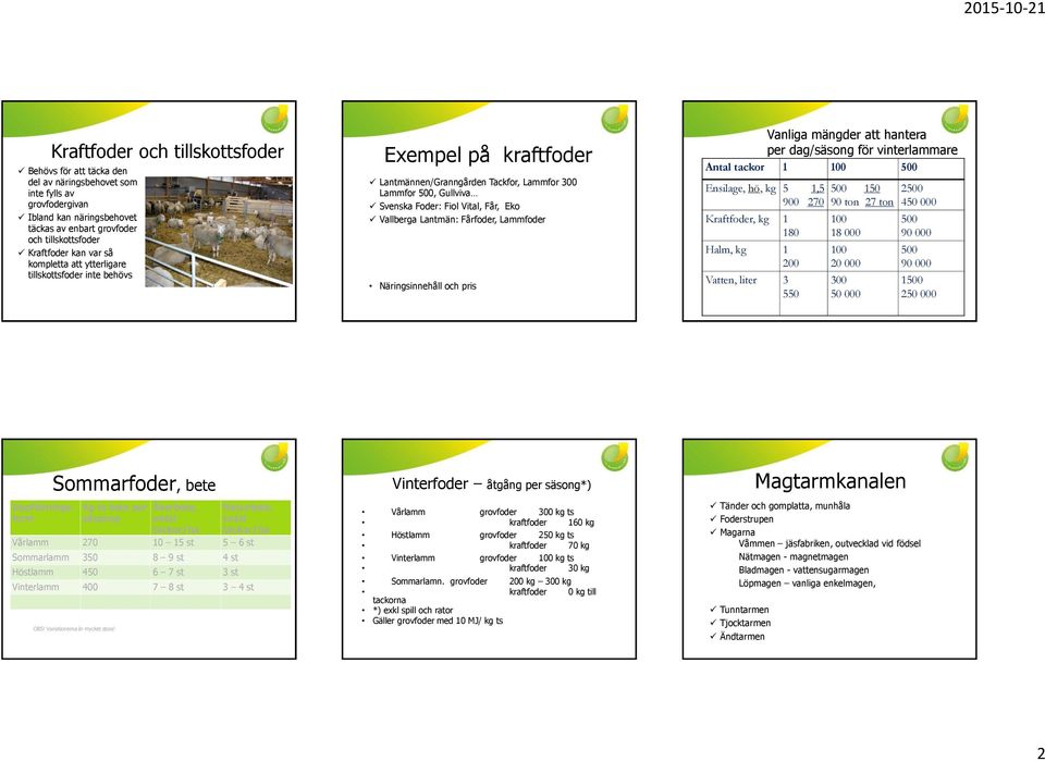 Lantmän: Fårfoder, Lammfoder Näringsinnehåll och pris Vanliga mängder att hantera per dag/säsong för vinterlammare Antal tackor 1 100 500 Ensilage, hö, kg 5 1,5 900 270 Kraftfoder, kg 1 180 Halm, kg