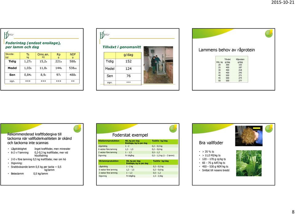 *** Lammens behov av råprotein Tillväxt Råprotein Vikt, kg g/dag g/dag 20 300 155 25 400 187 30 400 218 35 400 245 40 500 271 45 500 274 50 500 277 Rekommenderad kraftfodergiva till tackorna när