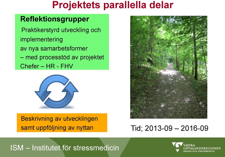 samarbetsformer med processtöd av projektet Chefer HR -