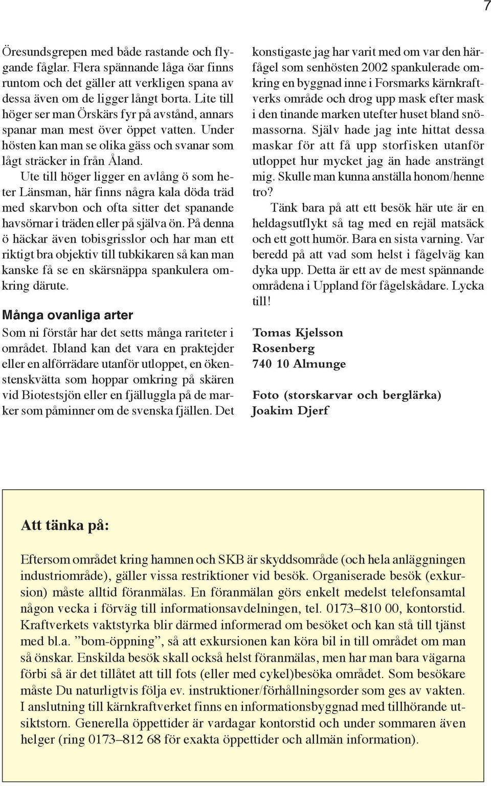 Ute till höger ligger en avlång ö som heter Länsman, här finns några kala döda träd med skarvbon och ofta sitter det spanande havsörnar i träden eller på själva ön.