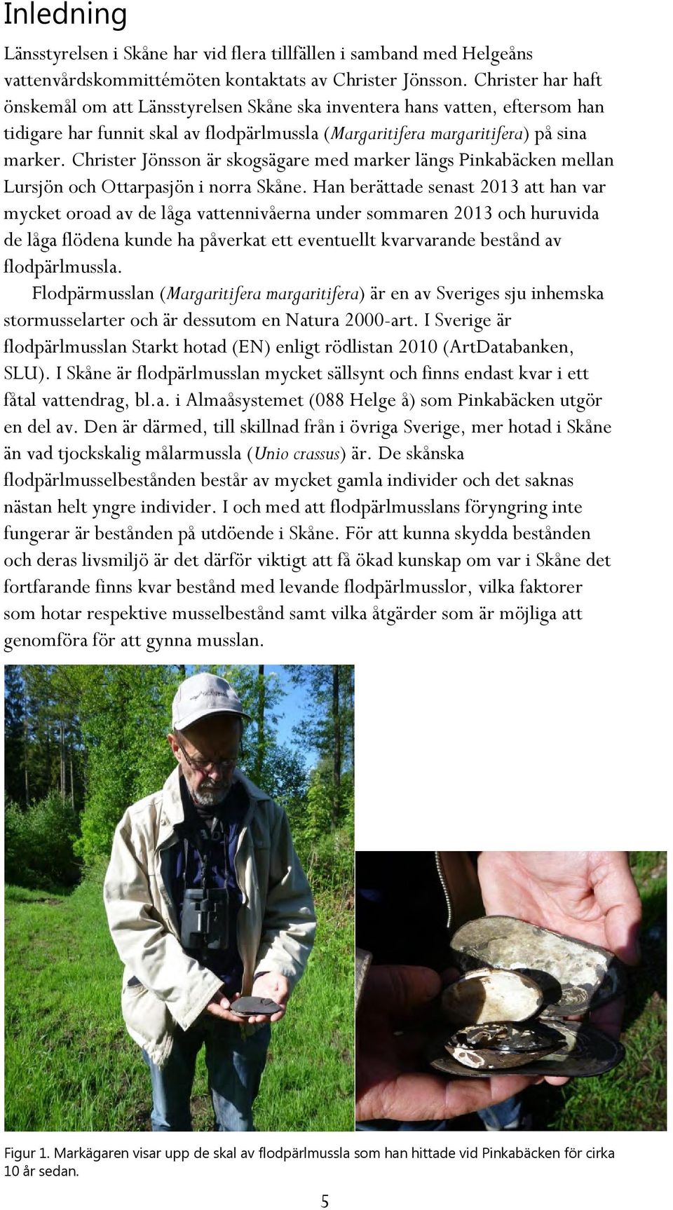 Christer Jönsson är skogsägare med marker längs Pinkabäcken mellan Lursjön och Ottarpasjön i norra Skåne.
