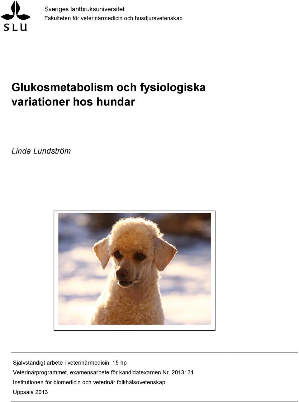 arbete i veterinärmedicin, 15 hp Veterinärprogrammet, examensarbete för kandidatexamen
