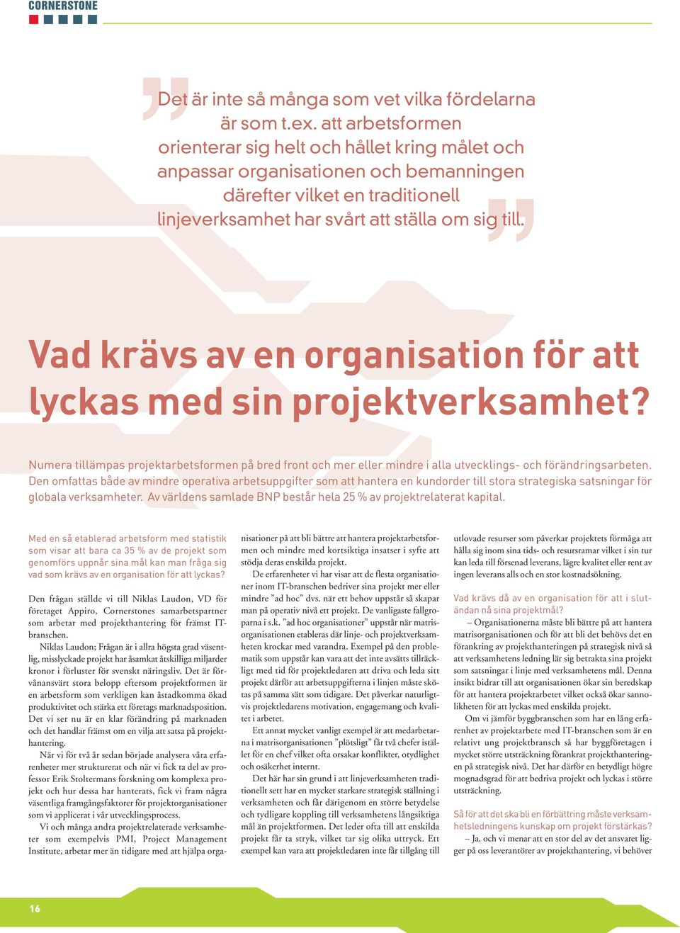 Vad krävs av en organisation för att lyckas med sin projektverksamhet? Numera tillämpas projektarbetsformen på bred front och mer eller mindre i alla utvecklings- och förändringsarbeten.