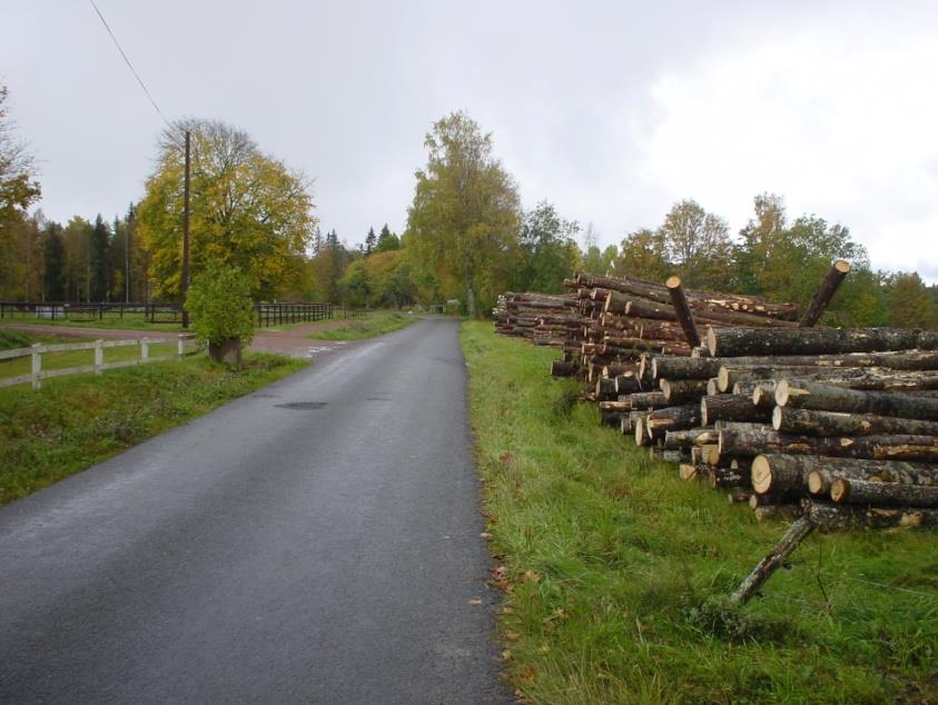 Bild 2.1.1.2 Besiktning i oktober 2008 på vägen mellan Linderås kyrka och Frinnaryd. Notera de ytskador som uppstått från de skogsmaskiner som använts vid virkeshanteringen. 2.1.1.1 Vägytemätning (VTI-RST) En vägytemätning (RST) utfördes den 25 augusti 2008.