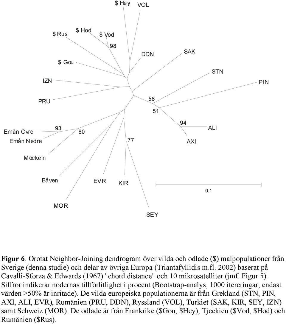 2002) baserat på Cavalli-Sforza & Edwards (1967) "chord distance" och 10 mikrosatelliter (jmf. Figur 5).
