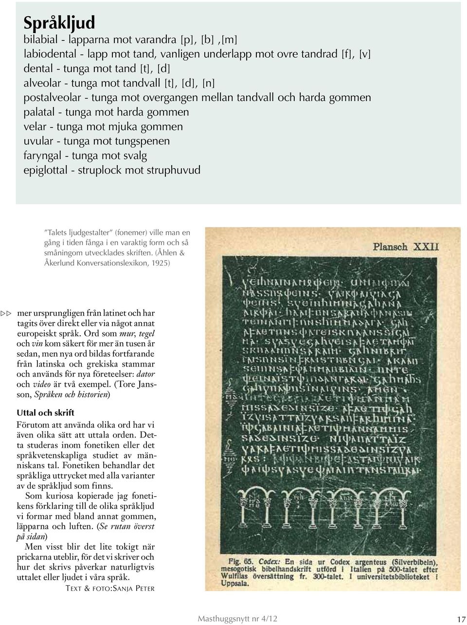 epiglottal - struplock mot struphuvud Talets ljudgestalter (fonemer) ville man en gång i tiden fånga i en varaktig form och så småningom utvecklades skriften.