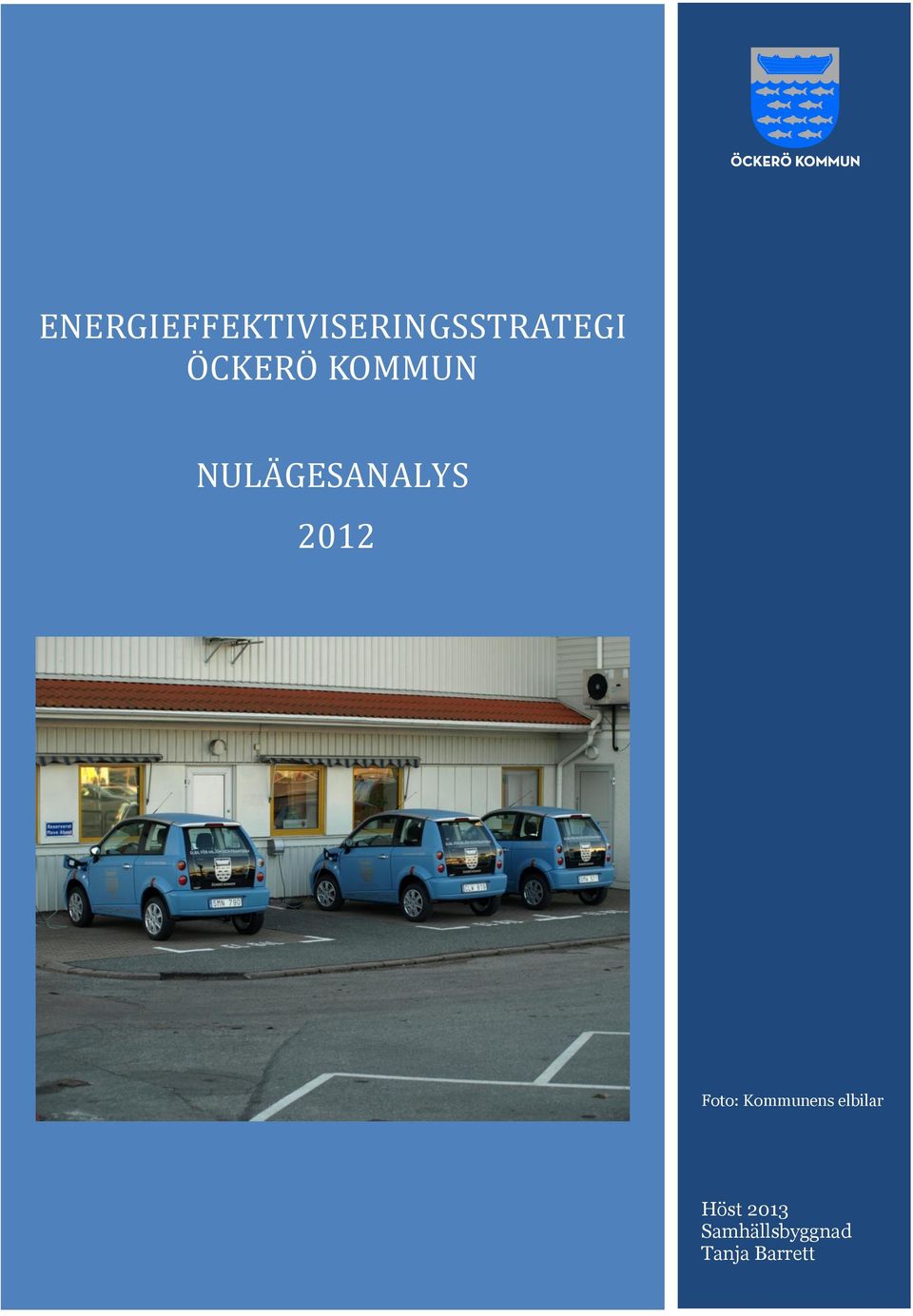 2012 Foto: Kommunens elbilar