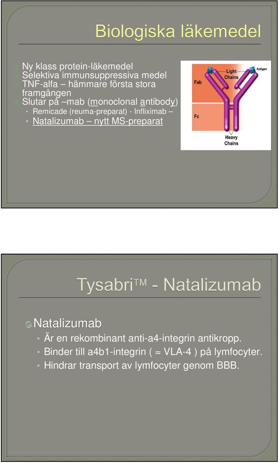 Natalizumab nytt MS-preparat Natalizumab Är en rekombinant anti-a4-integrin antikropp.