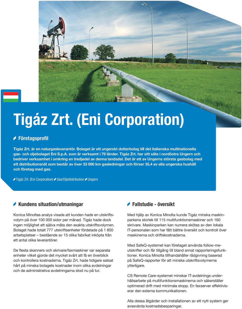 Det är ett av Ungerns största gasbolag med ett distributionsnät som består av över 33 000 km gasledningar och förser 35,4 av alla ungerska hushåll och företag med gas. Tigáz Zrt.