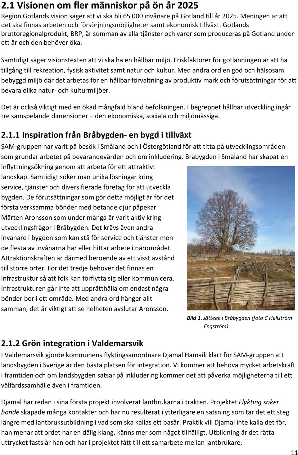 Gotlands bruttoregionalprodukt, BRP, är summan av alla tjänster och varor som produceras på Gotland under ett år och den behöver öka. Samtidigt säger visionstexten att vi ska ha en hållbar miljö.