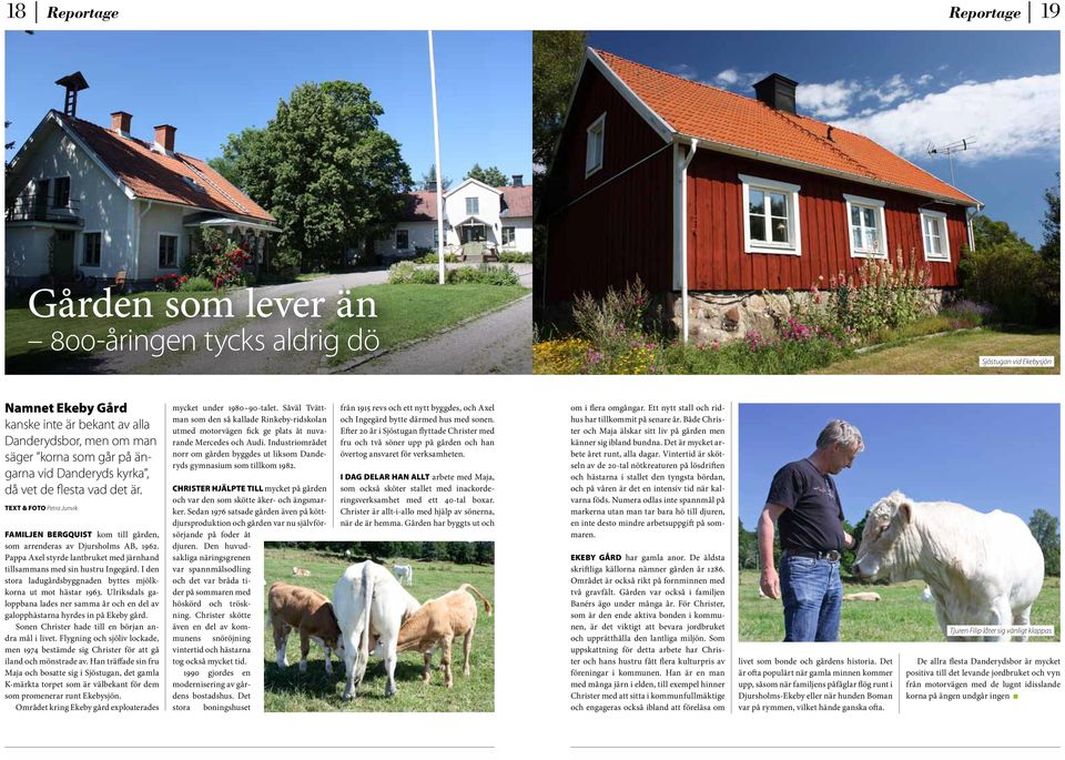 Pappa Axel styrde lantbruket med järnhand tillsammans med sin hustru Ingegärd. I den stora ladugårdsbyggnaden byttes mjölkkorna ut mot hästar 1963.