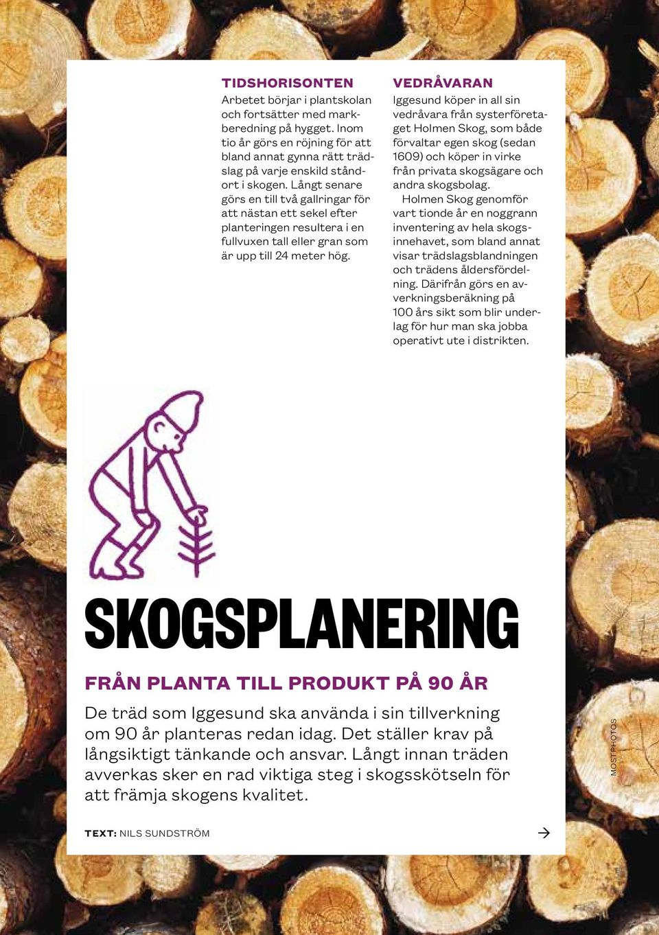 VEDRÅVARAN Iggesund köper in all sin vedråvara från systerföretaget Holmen Skog, som både förvaltar egen skog (sedan 1609) och köper in virke från privata skogsägare och andra skogsbolag.