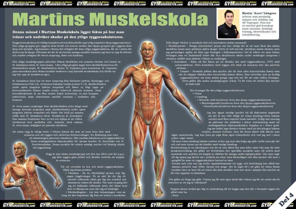 Ryggens muskulatur är väldigt komplicerad och delas därför upp i ytlig respektive djup ryggmuskulatur.