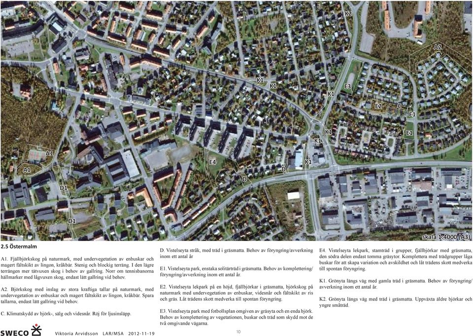 Björkskog med inslag av stora kraftiga tallar på naturmark, med undervegetation av enbuskar och magert fältskikt av lingon, kråkbär. Spara tallarna, endast lätt gallring vid behov. C.