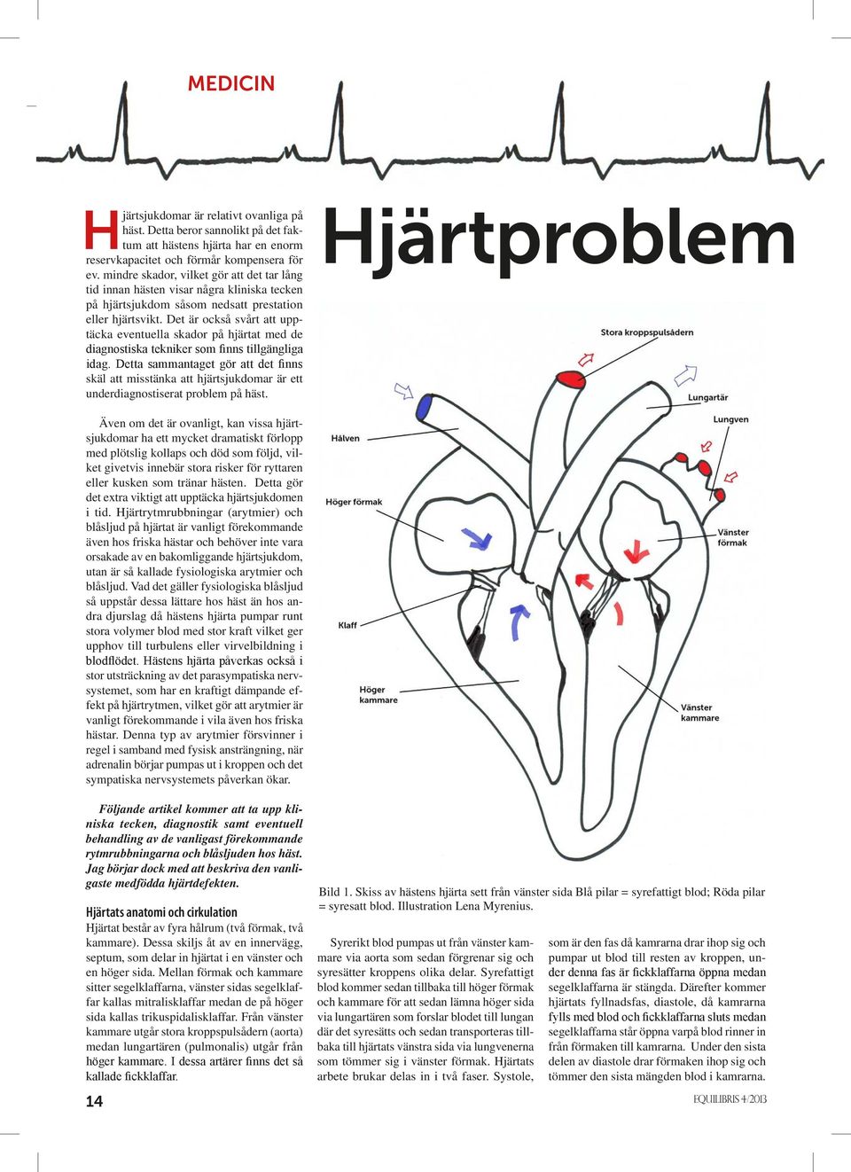 Det är också svårt att upptäcka eventuella skador på hjärtat med de diagnostiska tekniker som finns tillgängliga idag.