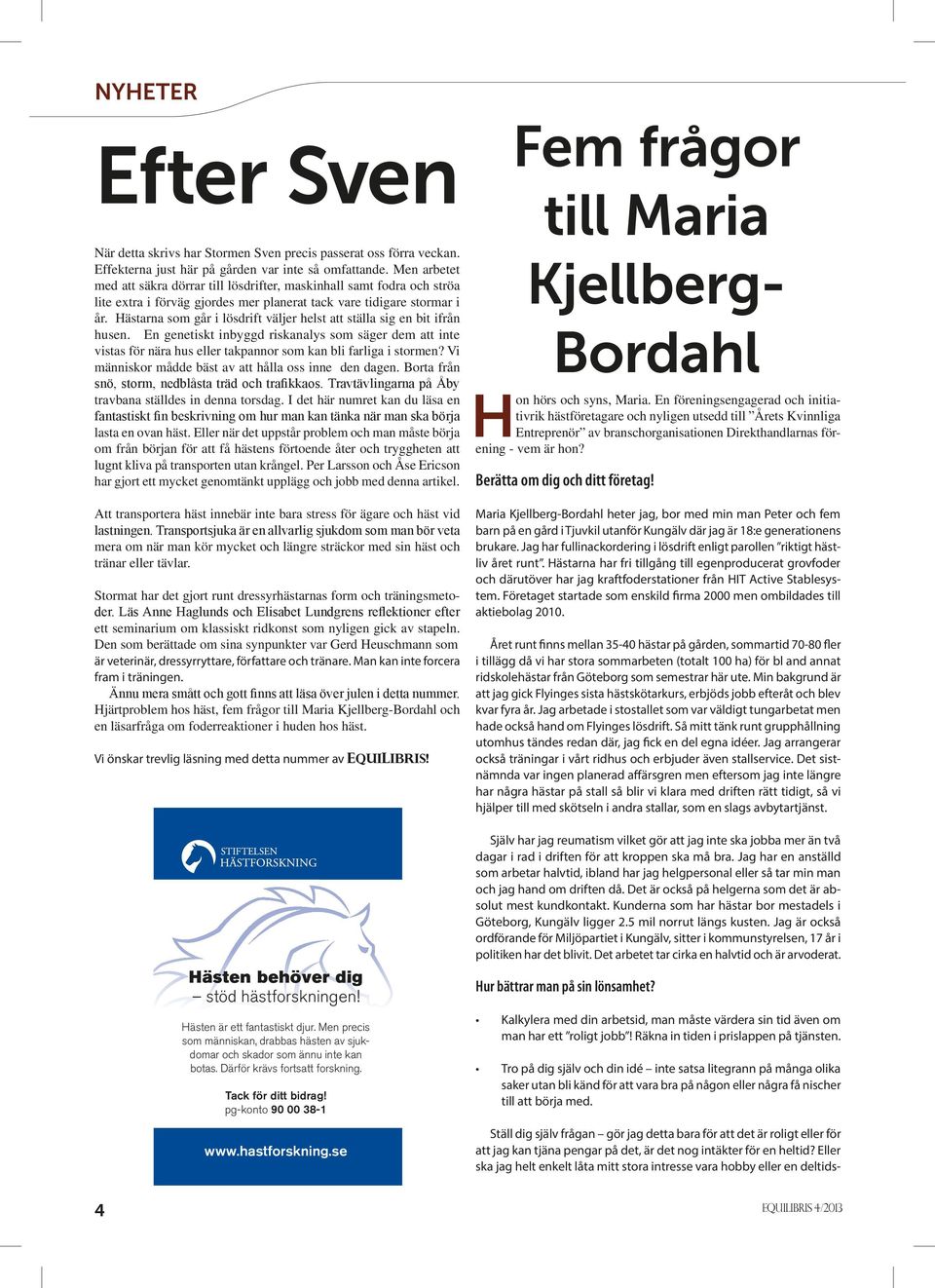 Hästarna som går i lösdrift väljer helst att ställa sig en bit ifrån husen. En genetiskt inbyggd riskanalys som säger dem att inte vistas för nära hus eller takpannor som kan bli farliga i stormen?