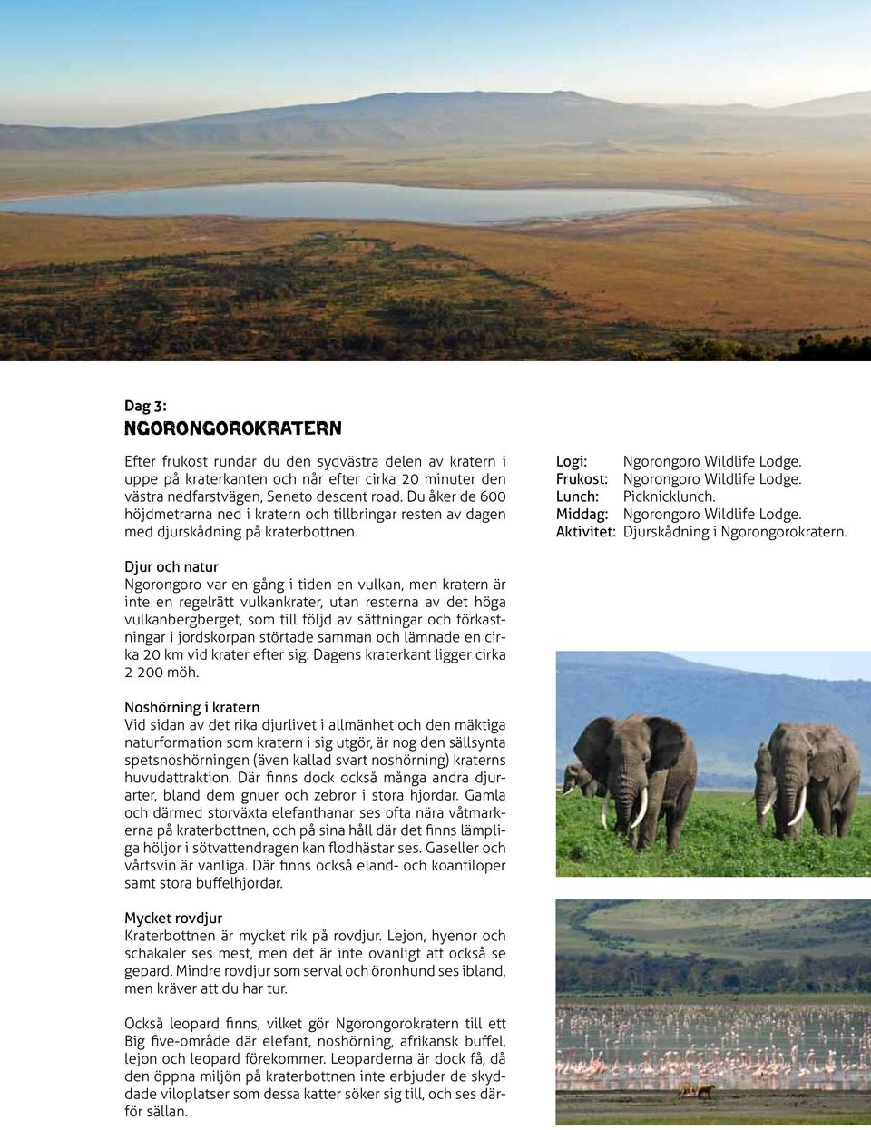 Middag: Ngorongoro Wildlife Lodge. Aktivitet: Djurskådning i Ngorongorokratern.