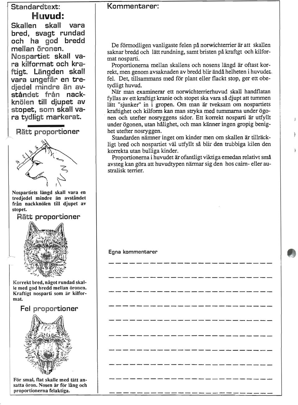 Ratt proportioner De fonnodligen vanligaste feien på norwichterrier ar att skallen saknar bredd och Hitt rundning, samt bristen på kraftgt och kil format nosparti.