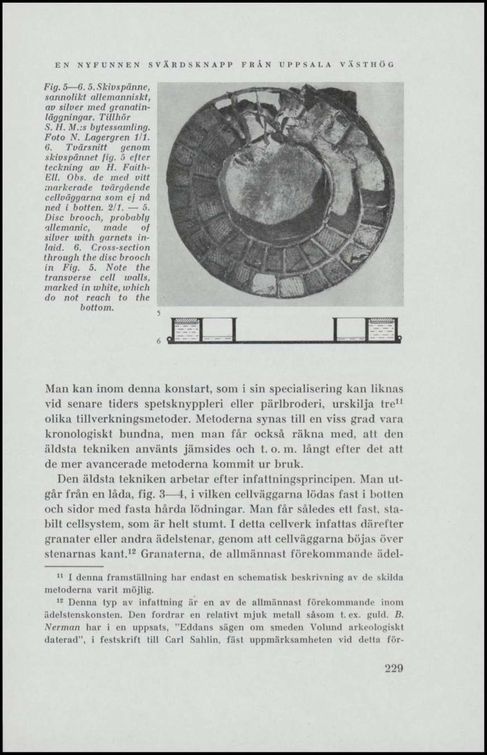 Disc brooch, probably allemanic, made of siluer with garnets inlaid. 6. Cross-sedion through the disc brooch in Fig. 5. Note the transverse cell walls.