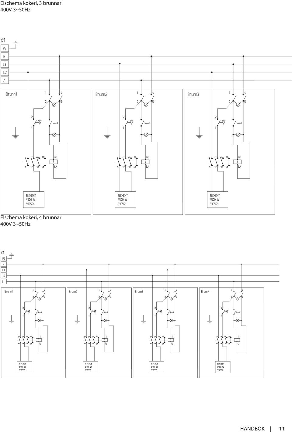 Elschema kokeri, 4 